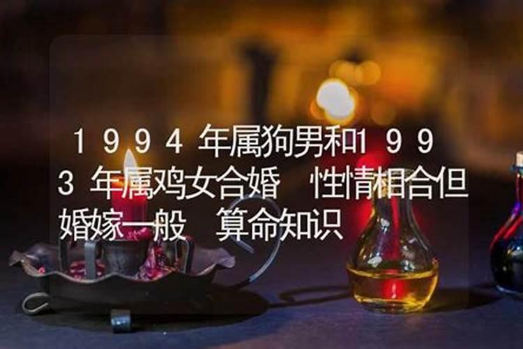 93年属鸡94年属狗合不合