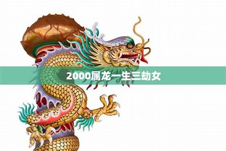 2000年属龙的坎坷