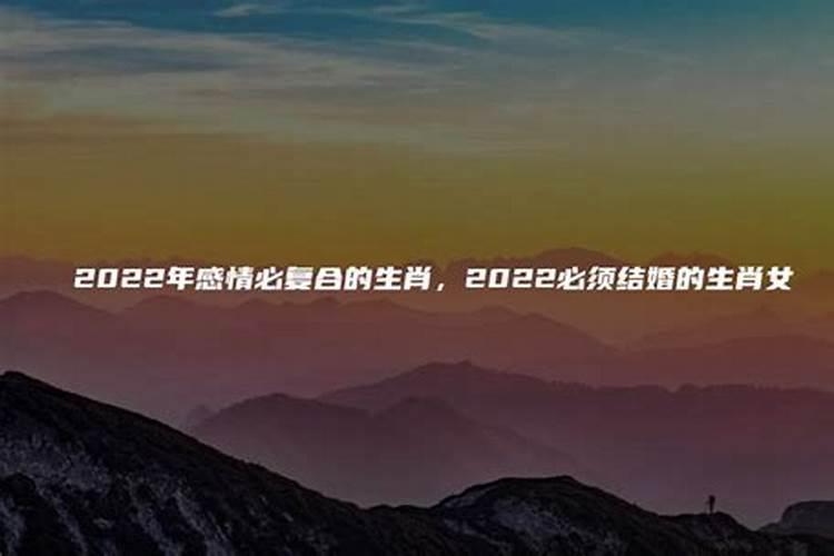 2022年感情复合生肖