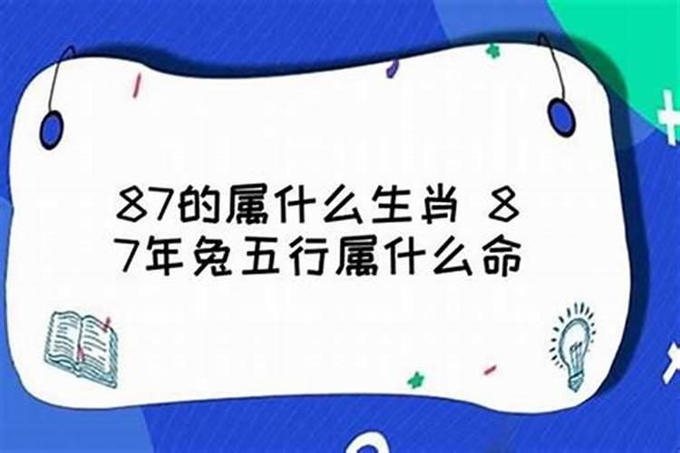 1999年属兔的五行是什么命