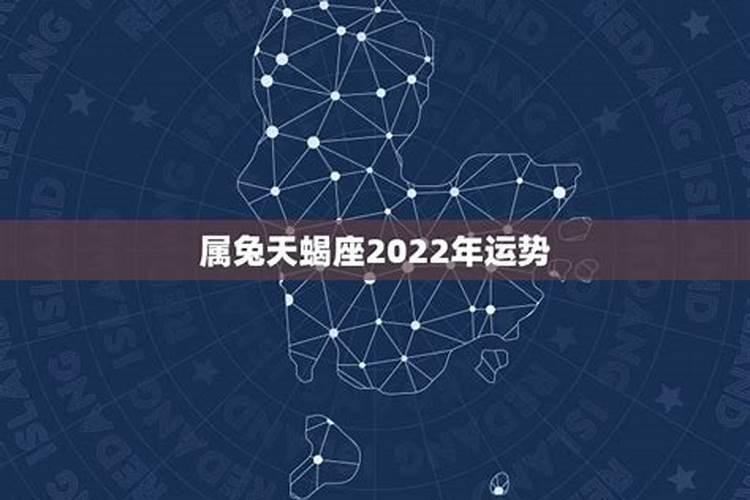 属猪2023怎样提高运势