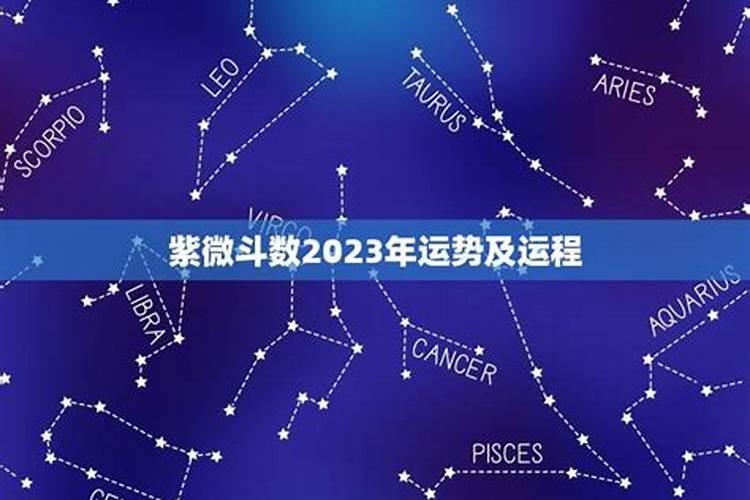 紫薇斗数看2023年运势