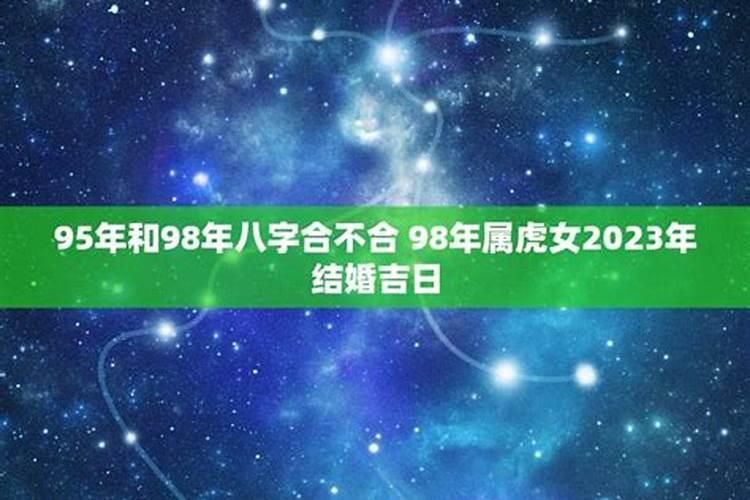 男人属猪女人属狗他们八字合不合