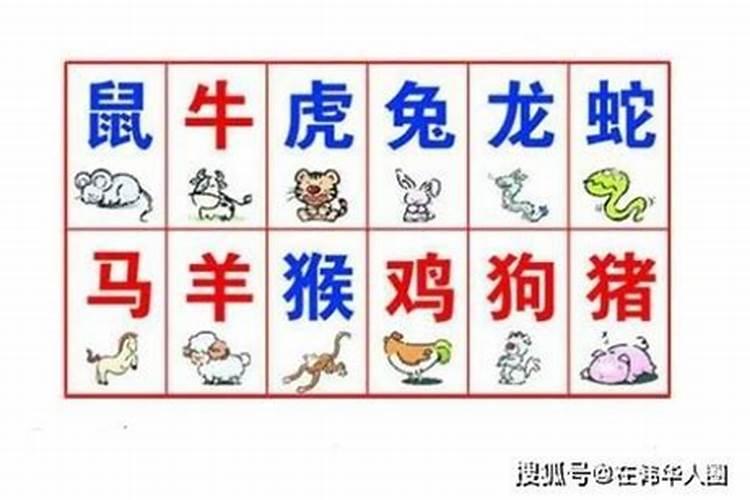 属马跟属羊八字合吗