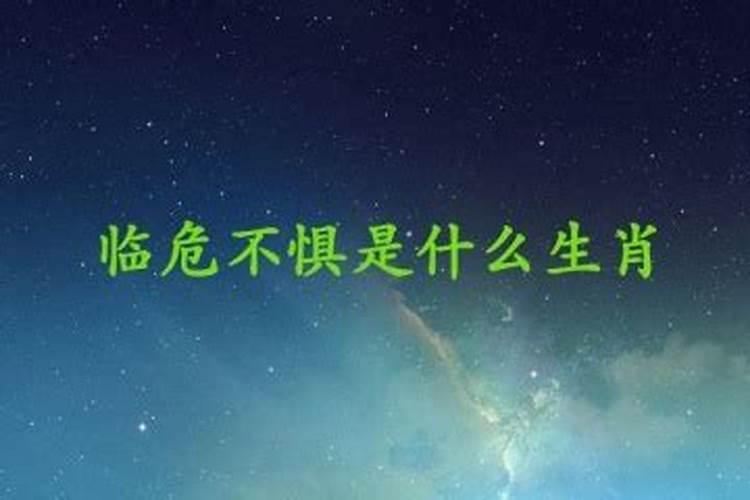 扬长避短出什么生肖