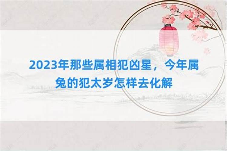 属兔2023年大凶