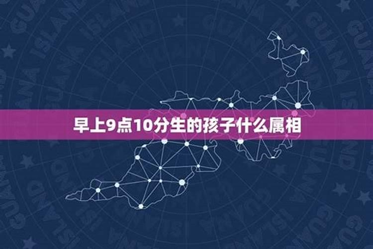 上午10点45分出生属什么