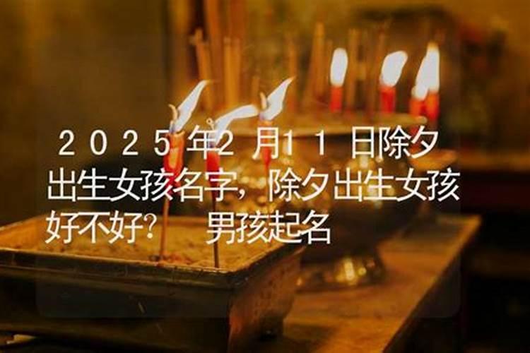 属虎2024年八月运势如何