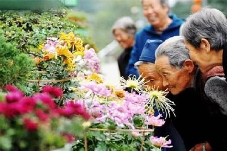 重阳节有祭奠风俗吗