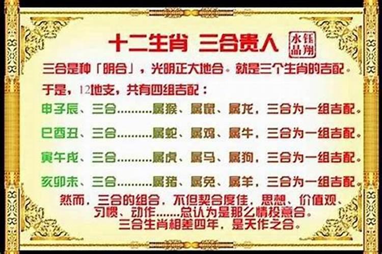 狗和哪个属相三合