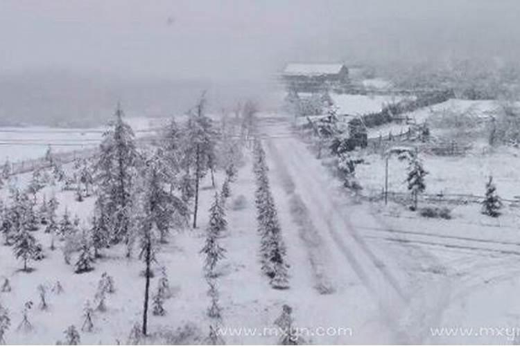 梦见白茫茫一片的雪是什么征兆