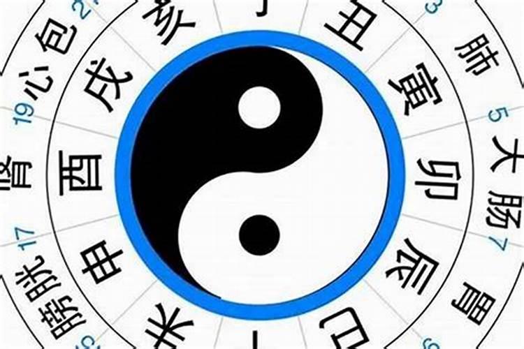 属相合适八字不合