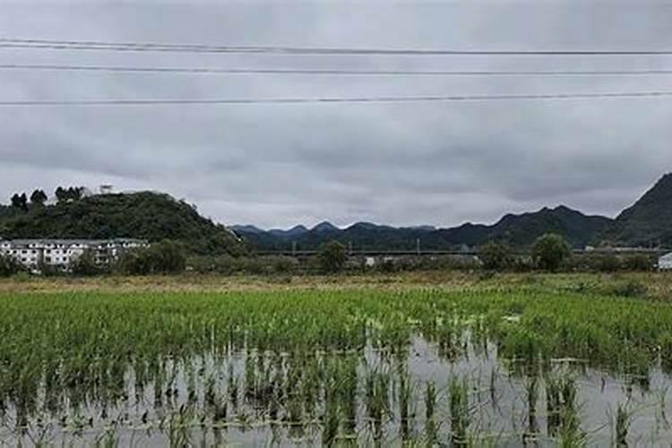 遵义风水大师哪位有名