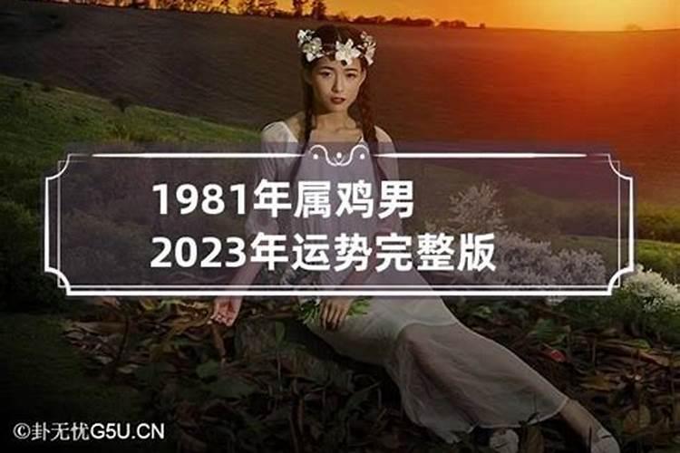 1981年女2023年运势