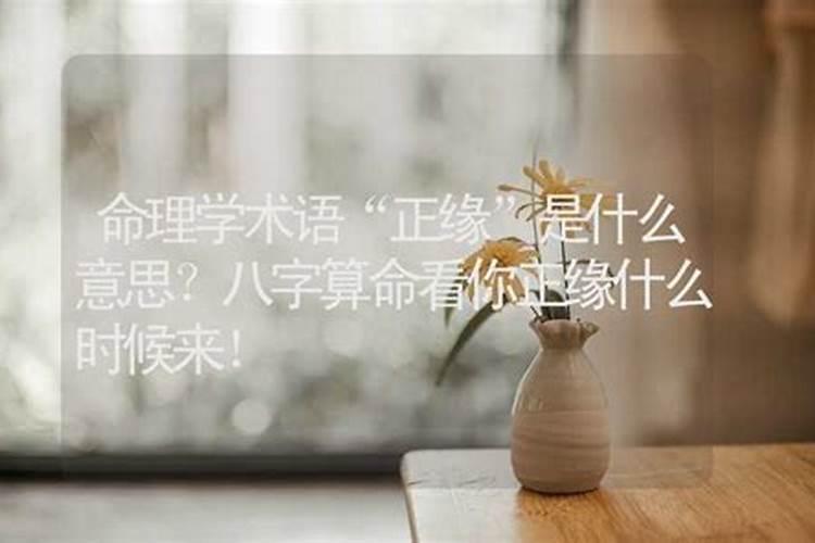 算命正缘是什么意思