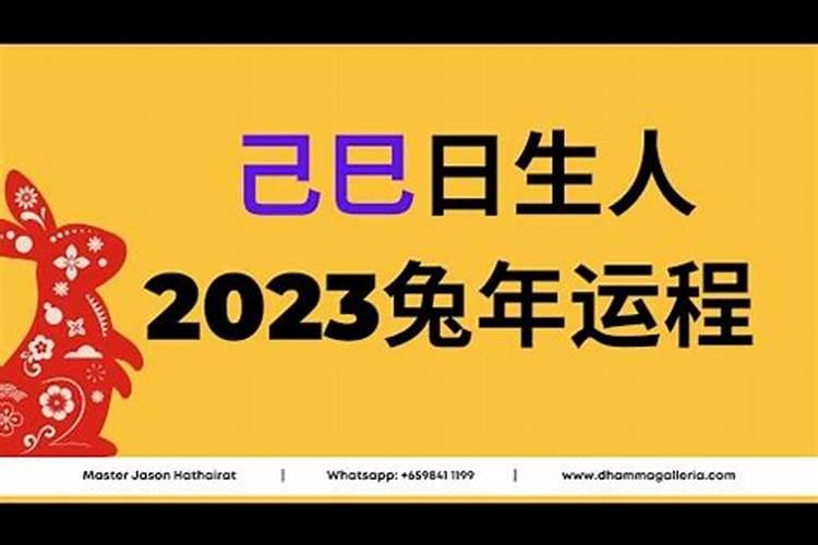 己巳狗人2023年运势运程如何