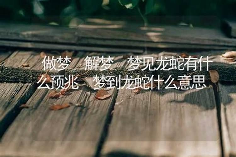 梦见龙和蛇在水里游是什么征兆