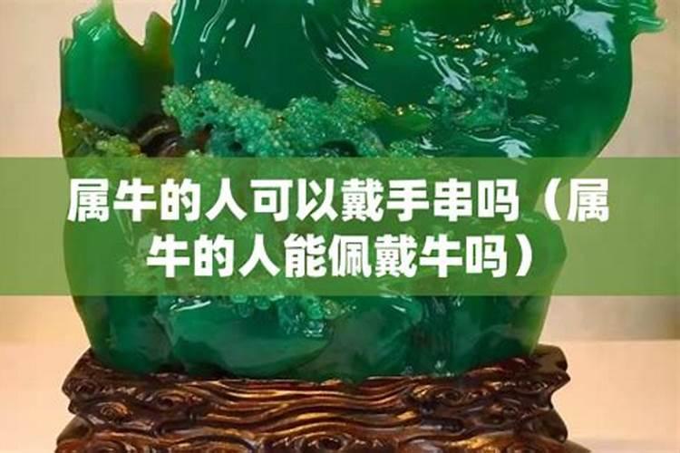 生肖马戴牛挂饰合适吗