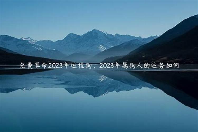 2023年属狗人的运势和运程