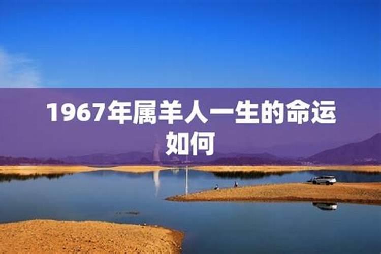 1967年出生的2020年的命运