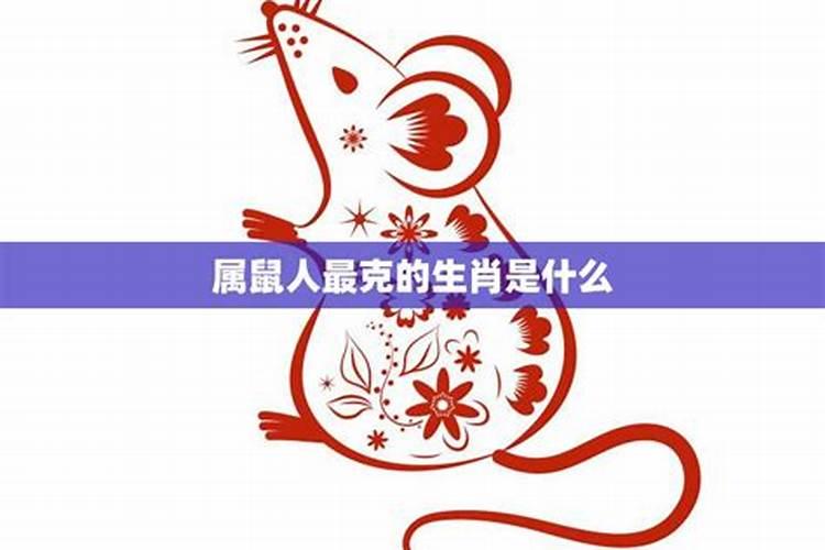 与属鼠人八字不合的生肖是