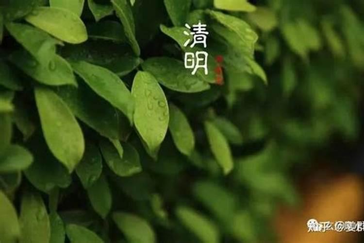 清明节前后禁忌风水