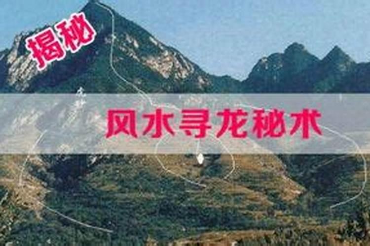 泰安风水大师电话号码