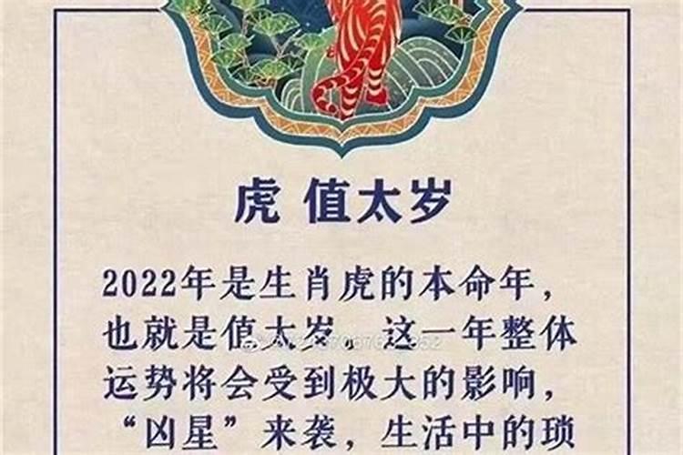 属虎今年犯太岁起个什么名字好