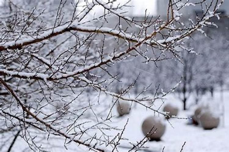 立春后又下雪注意事项