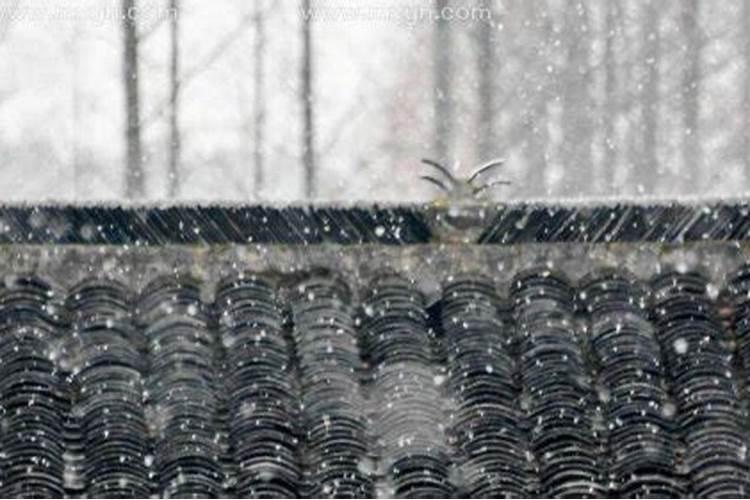 梦见雨夹雪是什么预兆