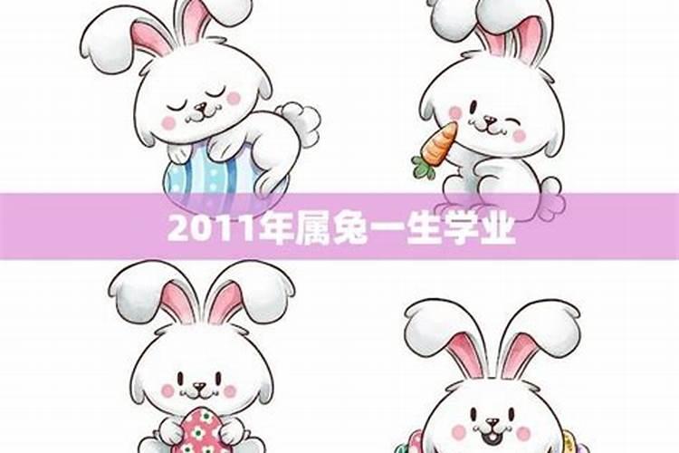 属兔今年学业怎么样