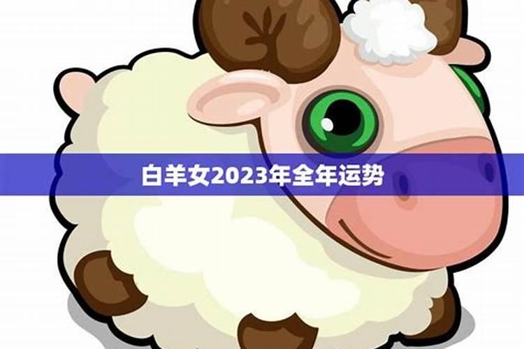 属兔白羊座2023年运势完整版