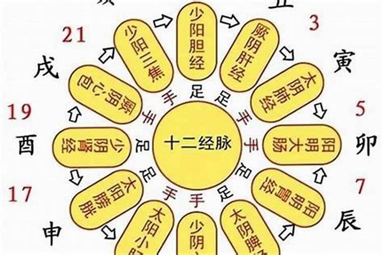 生肖龙和生肖鸡2023年运程