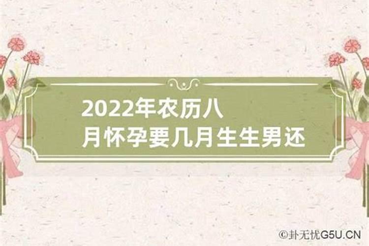 795属猪的2025年运程