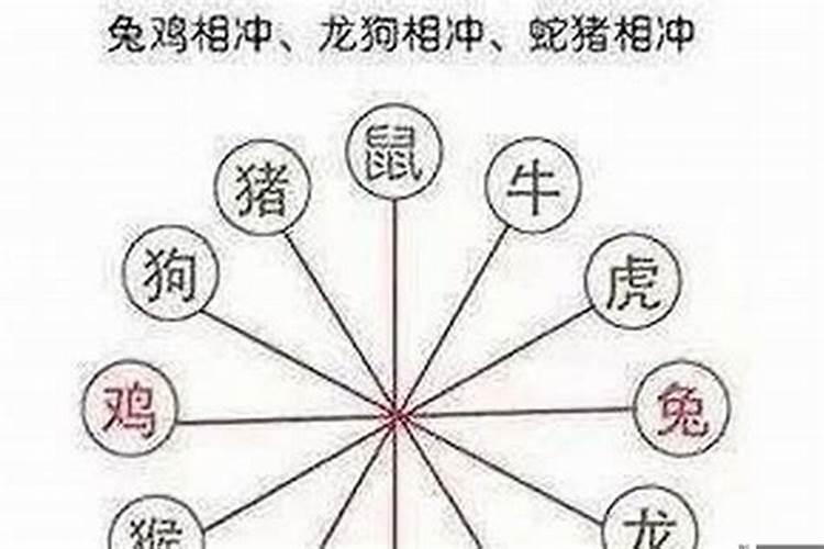 八字牛相冲兔婚姻怎么样