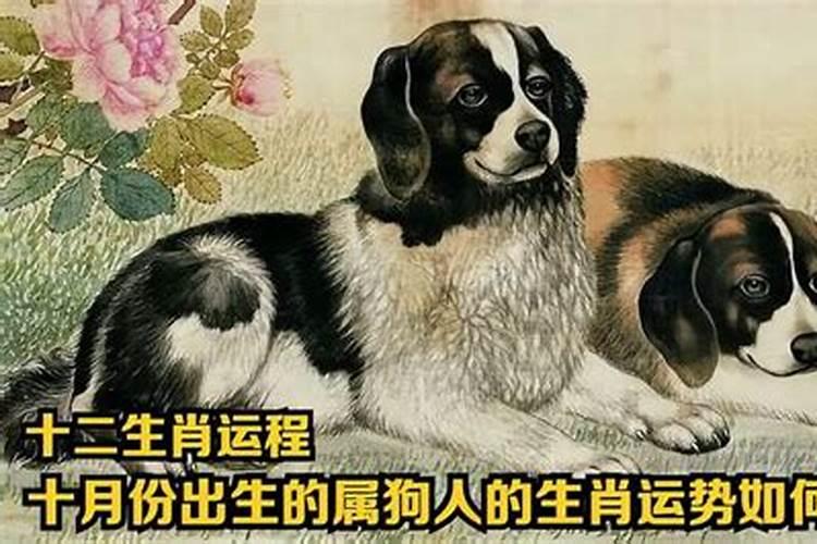 梦见自己的东西被别人弄坏了又被别人跑了是什么意思