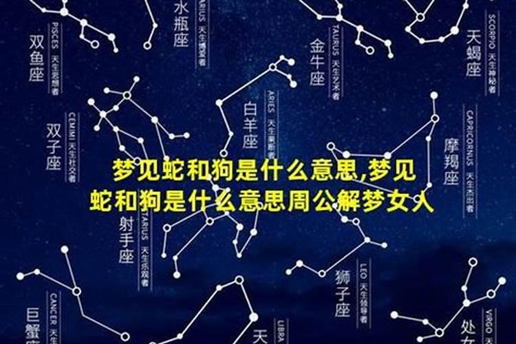 梦见狗和蛇是什么意思