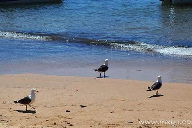 梦见别人掉大海里死了