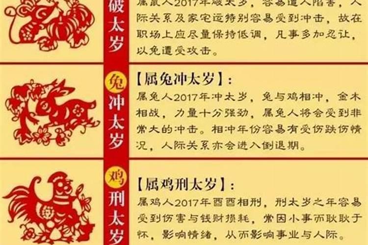 属兔的找什么对象好