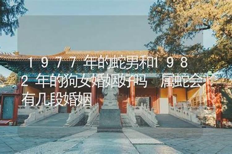 82年和99年什么八字合