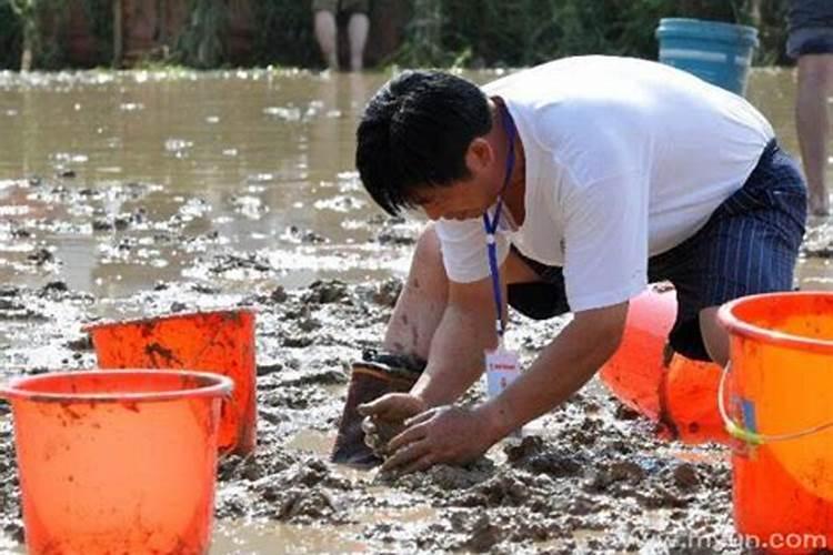 梦见抓泥鳅是什么意思