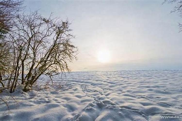 梦见雪地是什么征兆