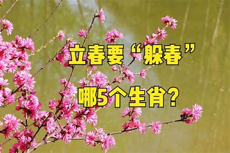 立春哪些生肖