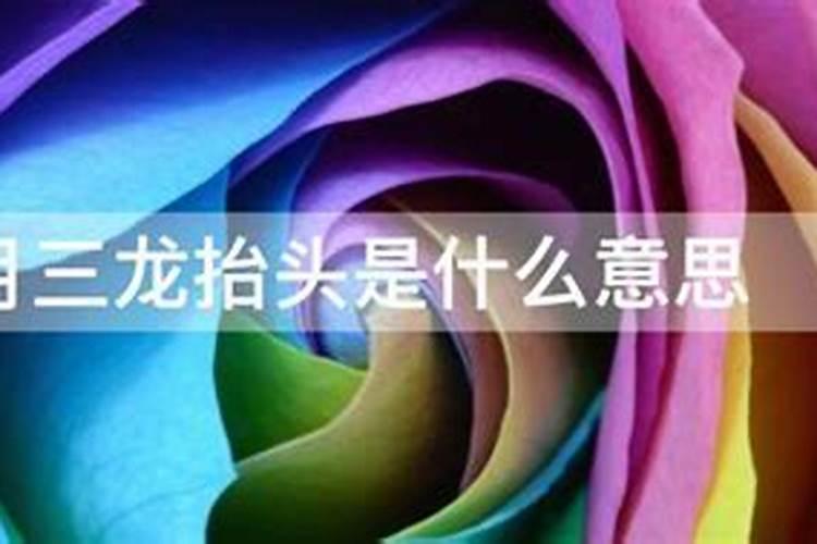 3月3龙抬头是啥意思