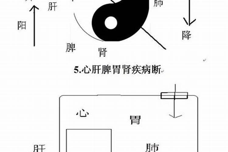 阴阳法风水怎么样