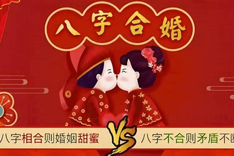 巳蛇和亥猪合婚化解方法