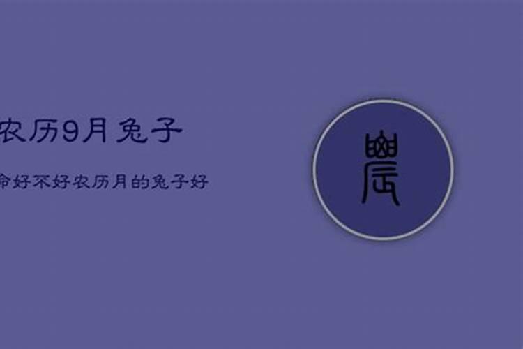 生于农历9月属兔人运势如何