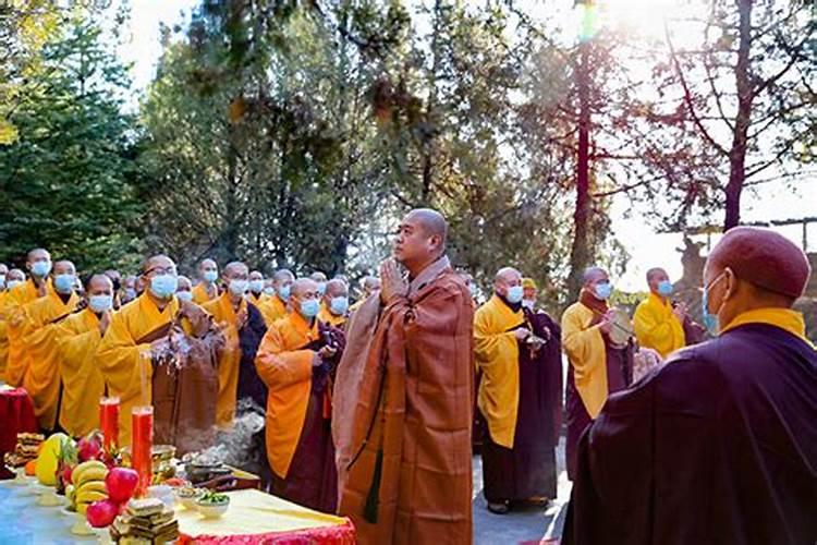 每年的重阳节在几月几日