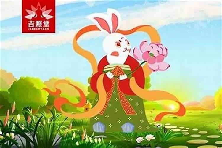 属兔的人今年适合什么颜色