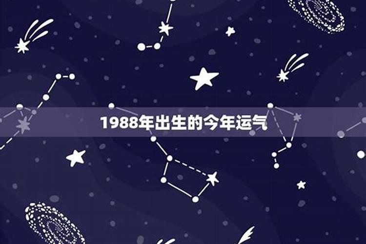 1988年生的今年运势如何